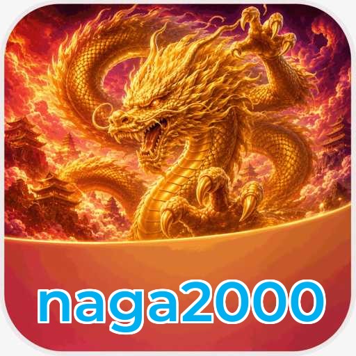 naga2000 Installation